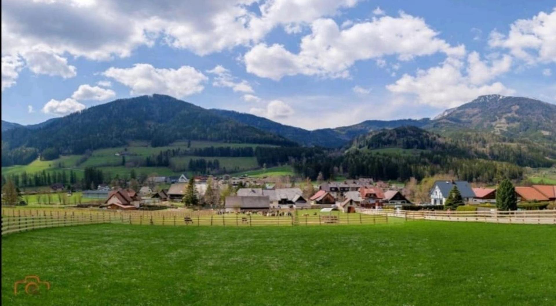 Alpakas, Lamas Und Rentiere Zum Gruenen See Grossdorf  Exterior photo
